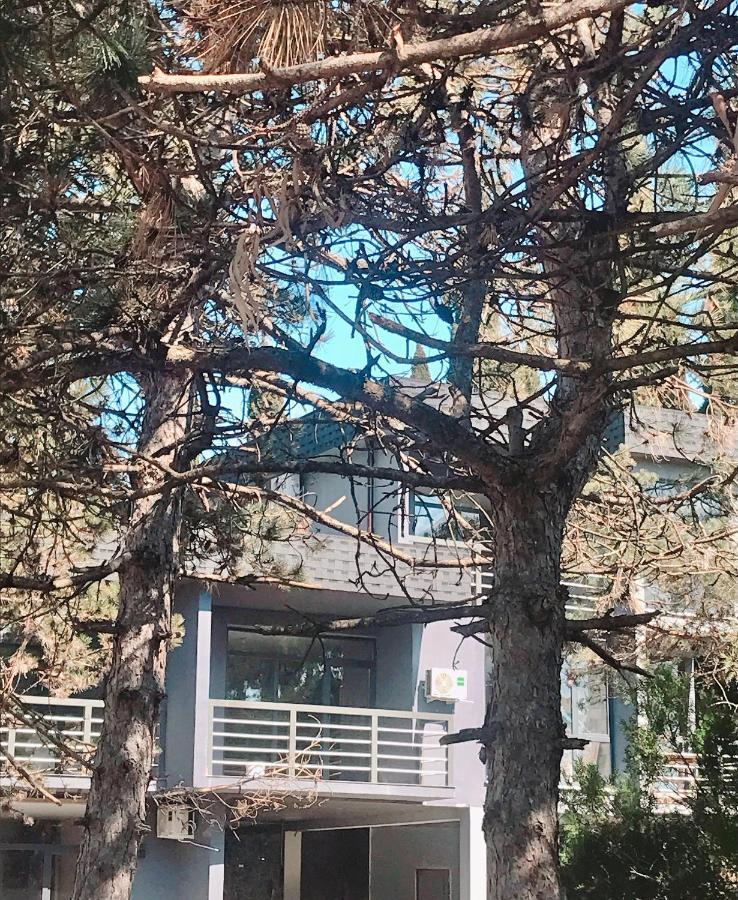 Aluar Boutique Hotel Kheivani 외부 사진